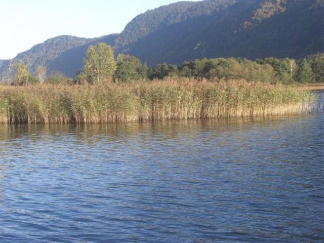 Gasthof Laggner Steindorf am Ossiacher See Exterior foto